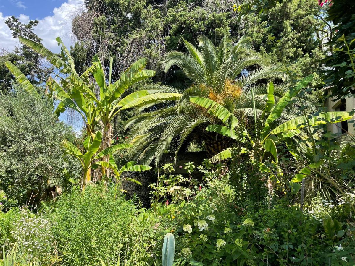 Villa Leona Clim Park 볼렌느 외부 사진