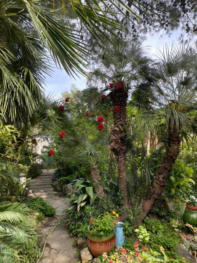 Villa Leona Clim Park 볼렌느 외부 사진